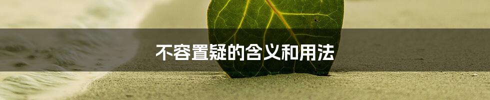 不容置疑的含义和用法