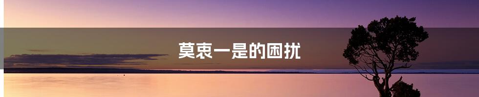 莫衷一是的困扰