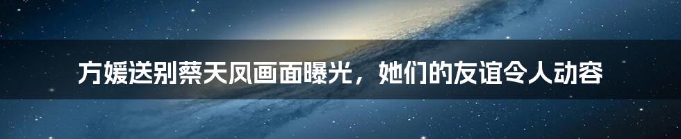 方媛送别蔡天凤画面曝光,她们的友谊令人动容