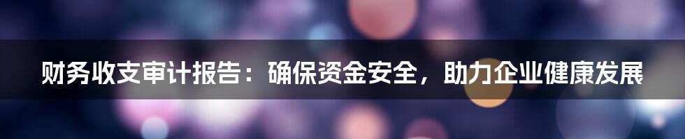 财务收支审计报告:确保资金安全,助力企业健康发展
