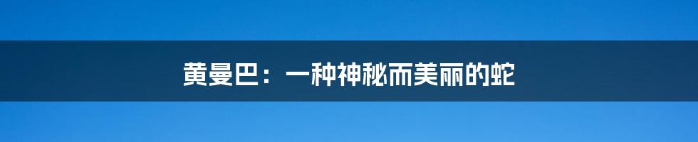 黄曼巴:一种神秘而美丽的蛇