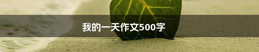 我的一天作文500字