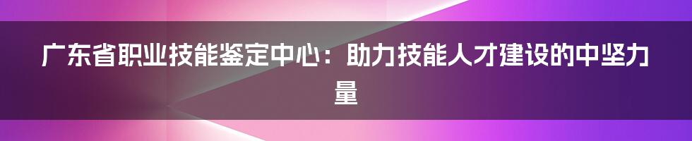 广东省职业技能鉴定中心：助力技能人才建设的中坚力量