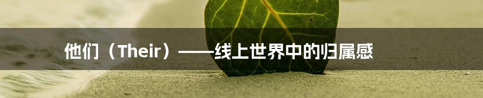 他们(Their)——线上世界中的归属感