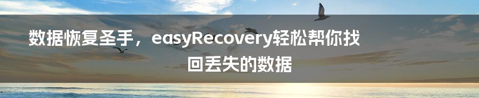 数据恢复圣手,easyRecovery轻松帮你找回丢失的数据