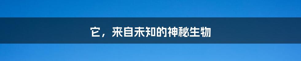 它,来自未知的神秘生物