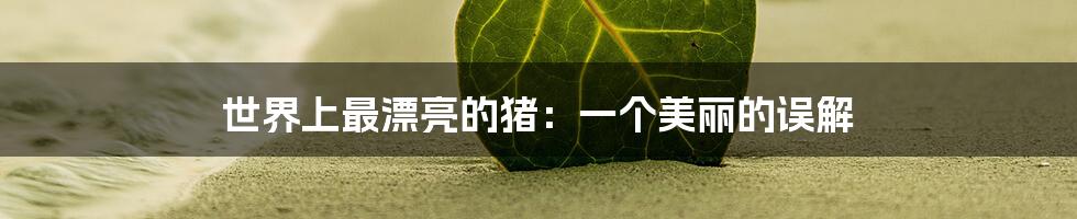 世界上最漂亮的猪:一个美丽的误解