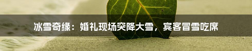 冰雪奇缘:婚礼现场突降大雪,宾客冒雪吃席