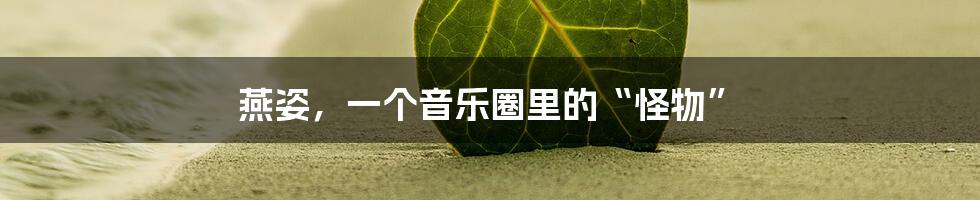 燕姿,一个音乐圈里的“怪物”