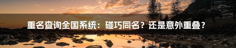 重名查询全国系统：碰巧同名？还是意外重叠？