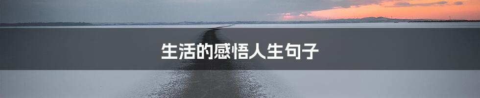 生活的感悟人生句子