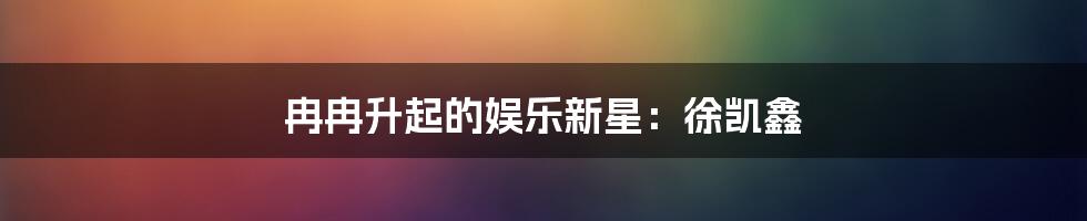 冉冉升起的娱乐新星：徐凯鑫