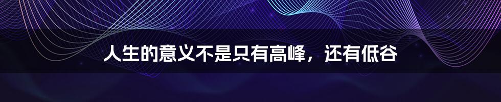人生的意义不是只有高峰,还有低谷