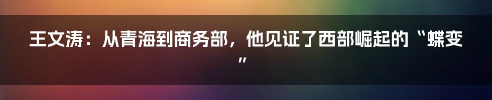 王文涛：从青海到商务部，他见证了西部崛起的“蝶变”