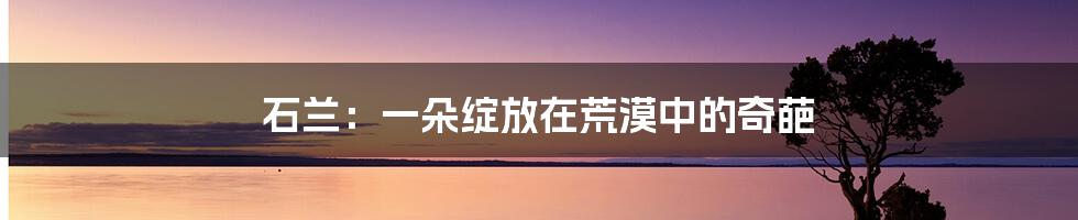 石兰:一朵绽放在荒漠中的奇葩
