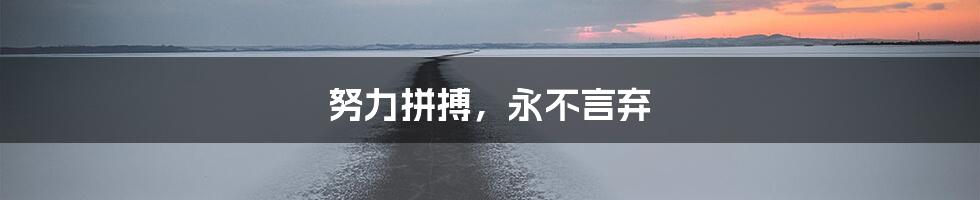 努力拼搏,永不言弃