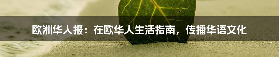 欧洲华人报：在欧华人生活指南，传播华语文化