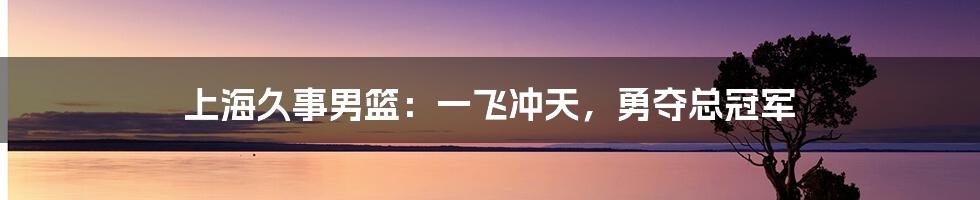 上海久事男篮:一飞冲天,勇夺总冠军