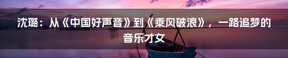 沈璐:从《中国好声音》到《乘风破浪》,一路追梦的音乐才女