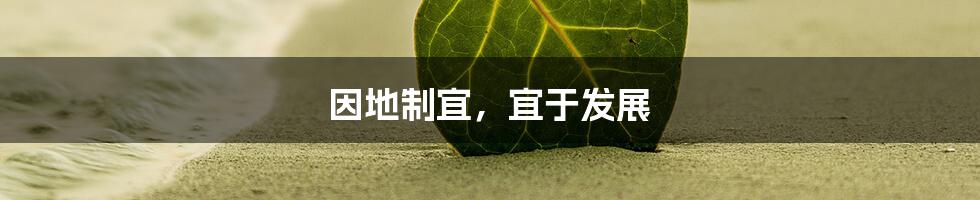 因地制宜,宜于发展