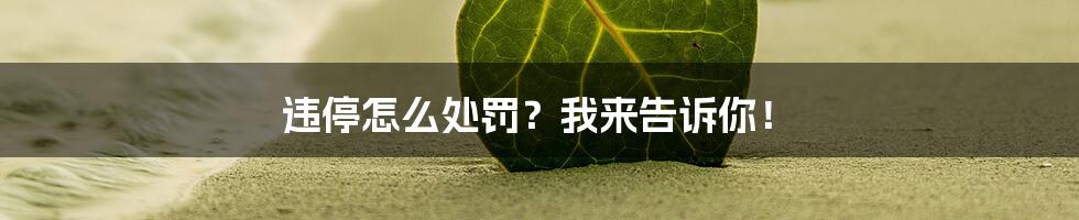 违停怎么处罚？我来告诉你！