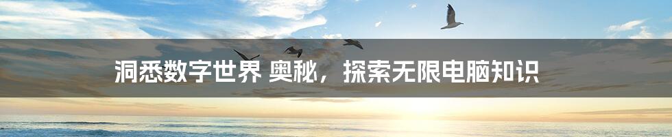 洞悉数字世界 奥秘，探索无限电脑知识