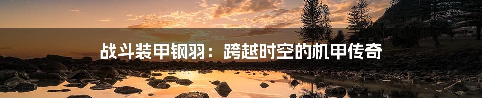 战斗装甲钢羽：跨越时空的机甲传奇