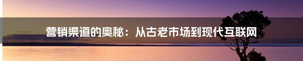 营销渠道的奥秘：从古老市场到现代互联网