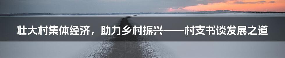 壮大村集体经济，助力乡村振兴——村支书谈发展之道