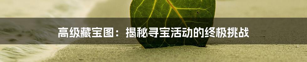 高级藏宝图:揭秘寻宝活动的终极挑战