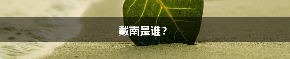 戴南是谁？