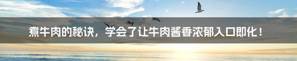 煮牛肉的秘诀，学会了让牛肉酱香浓郁入口即化！