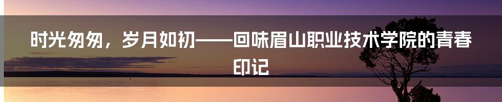 时光匆匆，岁月如初——回味眉山职业技术学院的青春印记