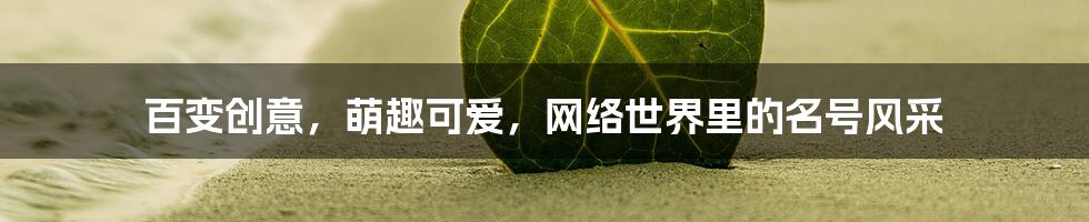 百变创意，萌趣可爱，网络世界里的名号风采