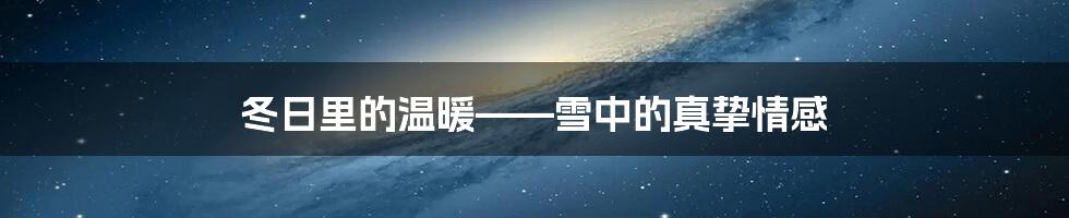 冬日里的温暖——雪中的真挚情感