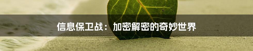 信息保卫战:加密解密的奇妙世界