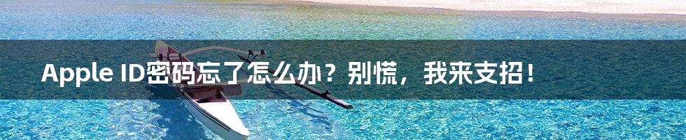 Apple ID密码忘了怎么办?别慌,我来支招!