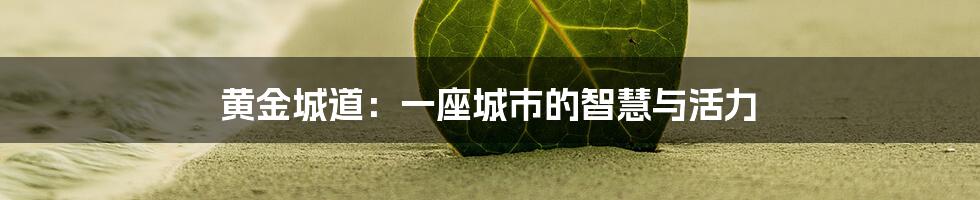 黄金城道:一座城市的智慧与活力