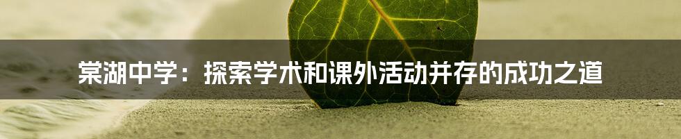 棠湖中学：探索学术和课外活动并存的成功之道