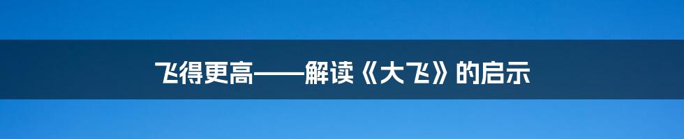 飞得更高——解读《大飞》的启示