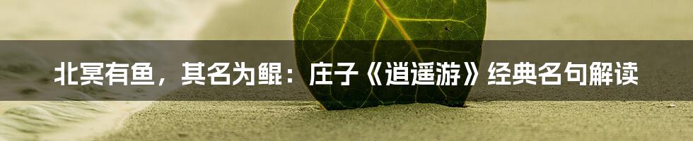 北冥有鱼,其名为鲲:庄子《逍遥游》经典名句解读
