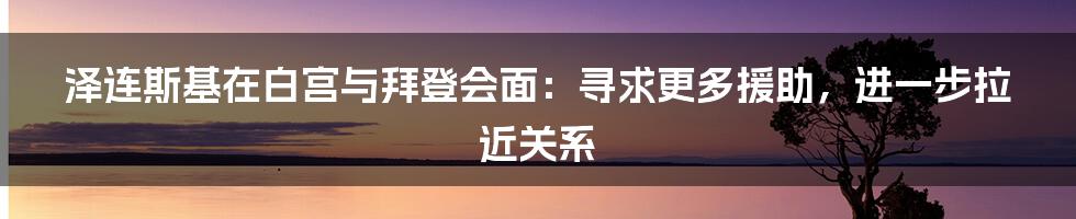 泽连斯基在白宫与拜登会面：寻求更多援助，进一步拉近关系