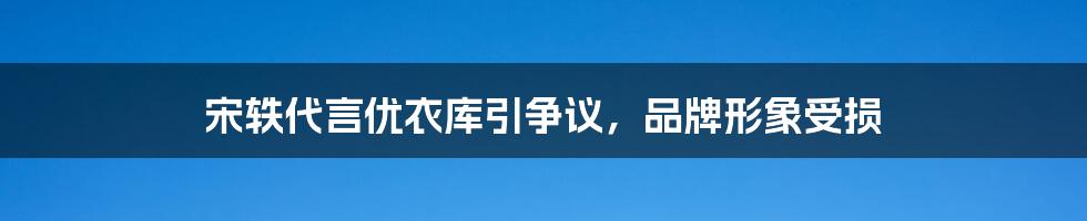 宋轶代言优衣库引争议,品牌形象受损