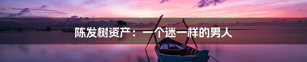 陈发树资产:一个迷一样的男人