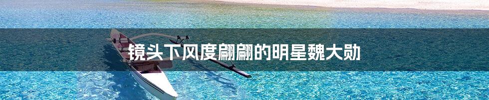 镜头下风度翩翩的明星魏大勋