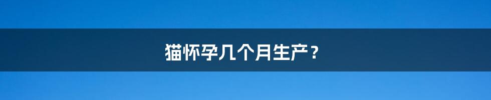猫怀孕几个月生产?