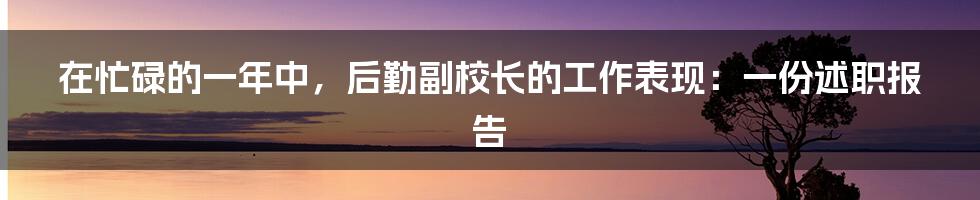 在忙碌的一年中，后勤副校长的工作表现：一份述职报告