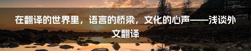 在翻译的世界里,语言的桥梁,文化的心声——浅谈外文翻译