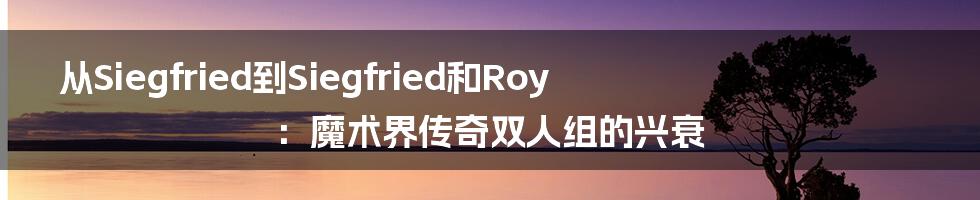 从Siegfried到Siegfried和Roy：魔术界传奇双人组的兴衰