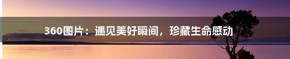 360图片：遇见美好瞬间，珍藏生命感动
